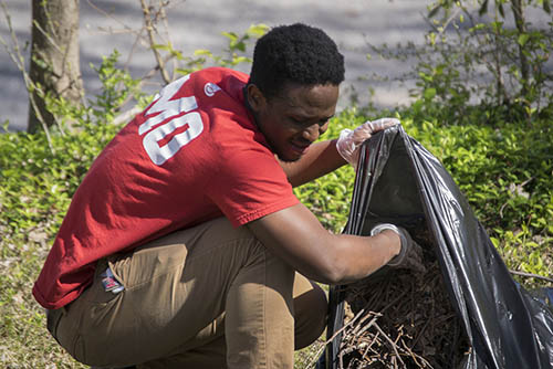 a student wearing gardening gloves works to pick up sticks and leaf litter to clean up a yard