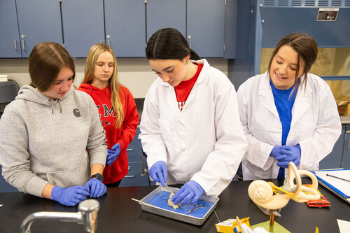 four students stand around a table, while one of them dissects something.