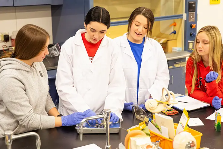 SEMO Sikeston campus students gather around a lab table and participate in a biology experiment