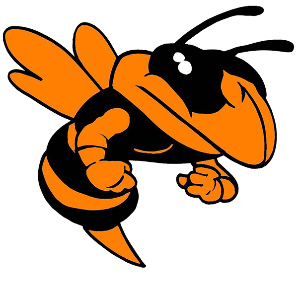 advance schools hornet logo