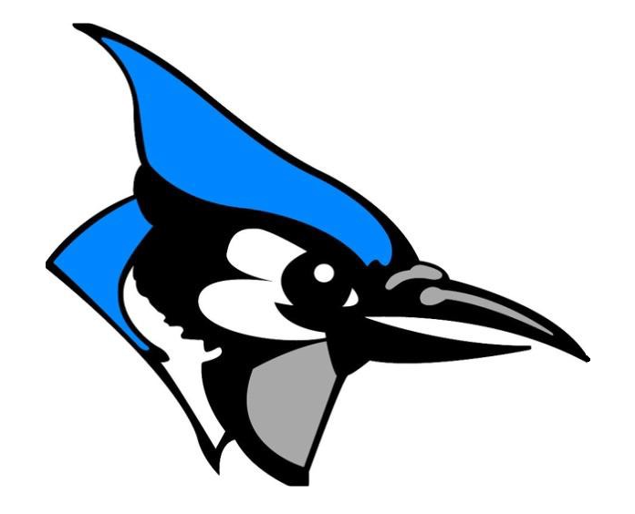 bluejay-logo-right-facing.png