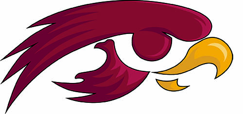 the scott county schools logo of a hawk head