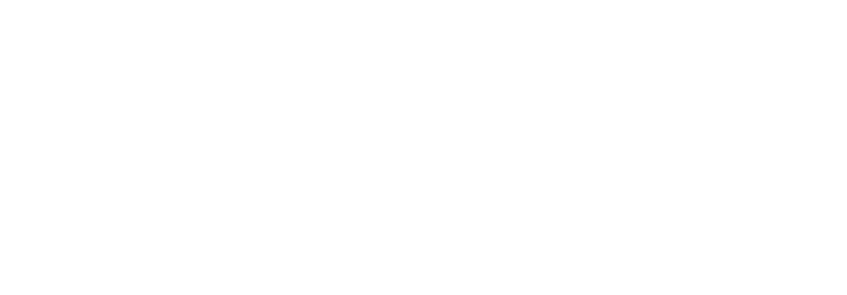 American Kinesiology Association (AKA) logo