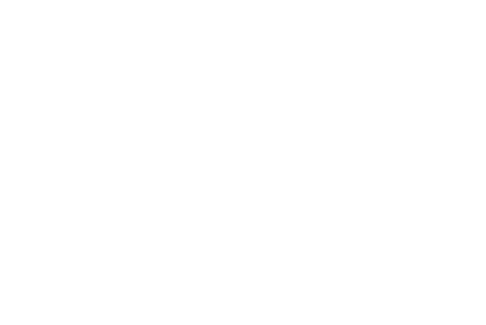 SSM System, St. Louis logo