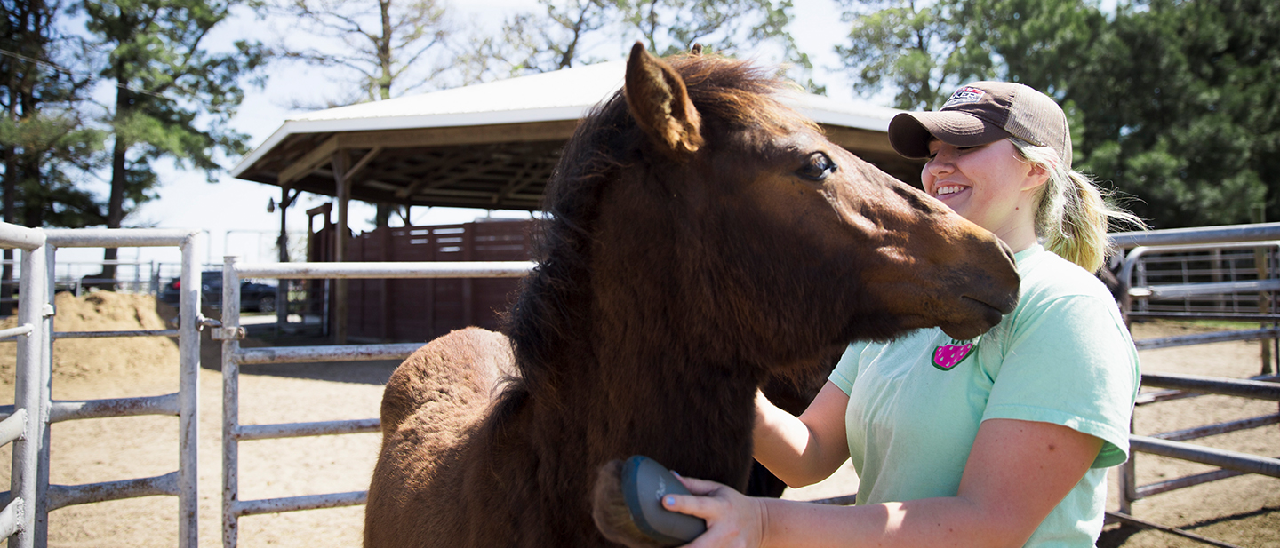 Pre Veterinary Medicine Programs Canada