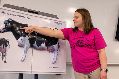 An instructor points to the parts of a cow on the board.