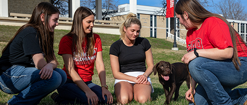 A group of four girls sitting with a puppy in the grass.