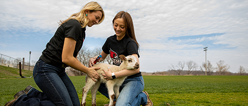 A couple of SEMO students sit petting a baby goat.