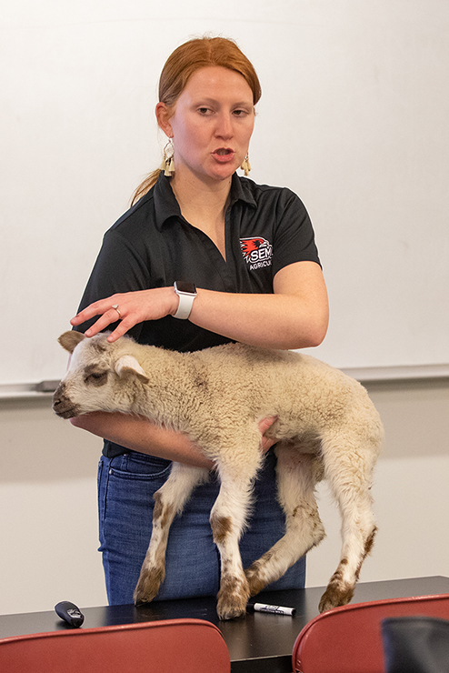 An instructor holds a baby goat for Pre vet students.