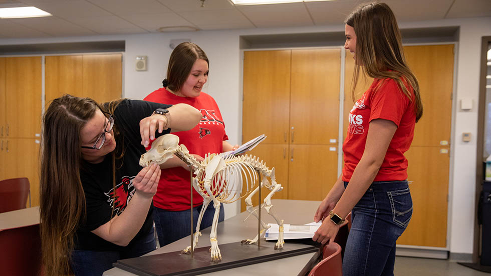 Agribusiness: Animal Science | SEMO