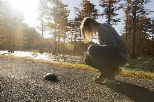 A biology student identifies and logs a turtle species during an Ecology Lab.