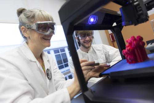 A biology major assists his professor while creating a biological three-dimensional model.