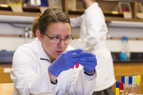 A biology student wearing a white lab coat and blue gloves compares samples in the Microbiology lab.