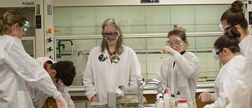 Professor Rachel Theall teaches a chemistry class at Southeast Missouri State University. 