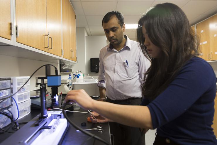 A Southeast Missouri State University physics student uses a mechanical tester on biomaterials. 