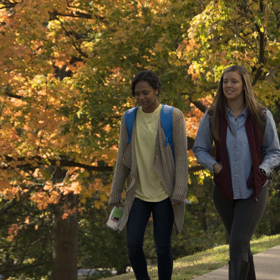 Two students walk to class framed by autumn trees.