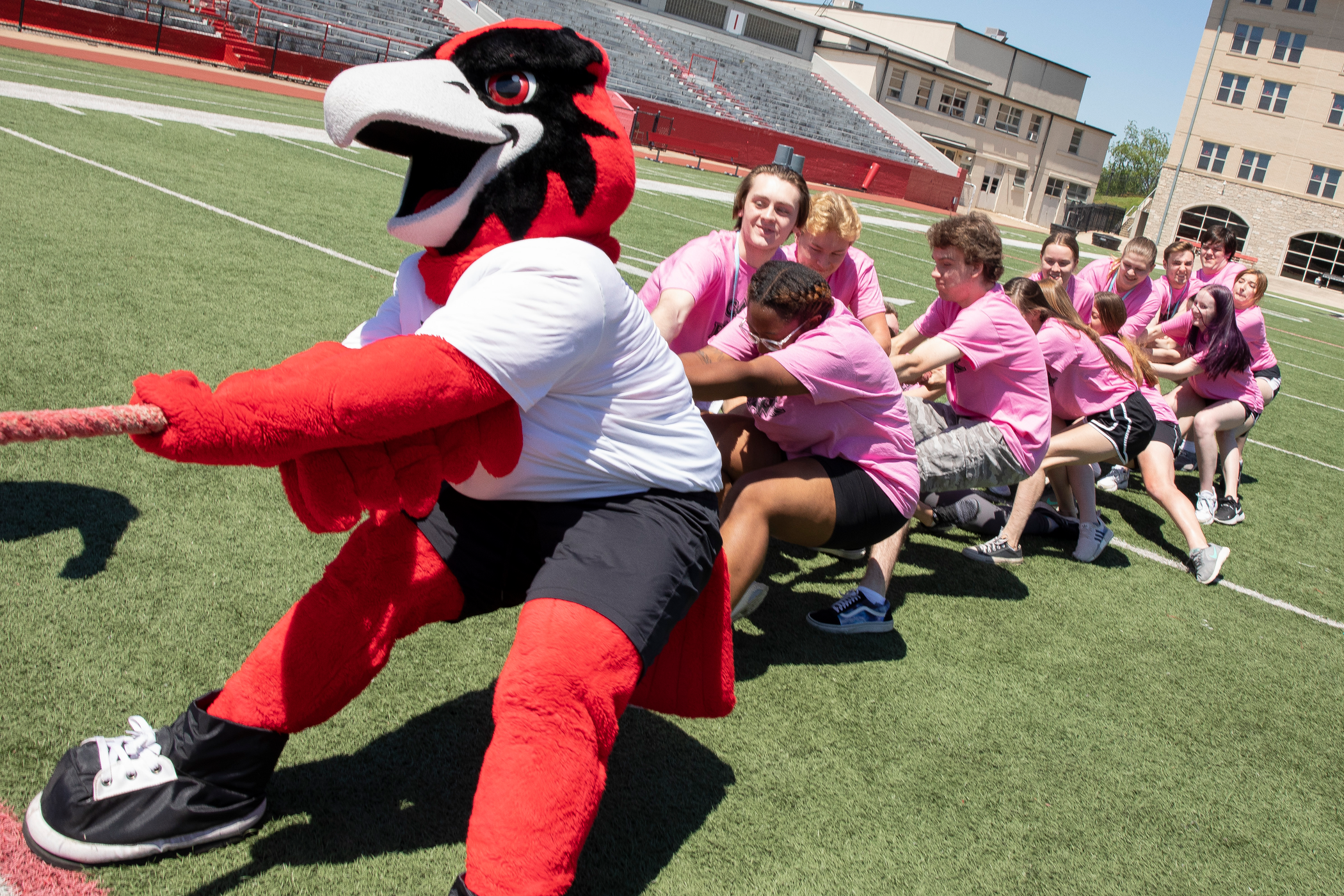 Rowdy the Redhawk and camp goers playing in a game of tug-of-war. 