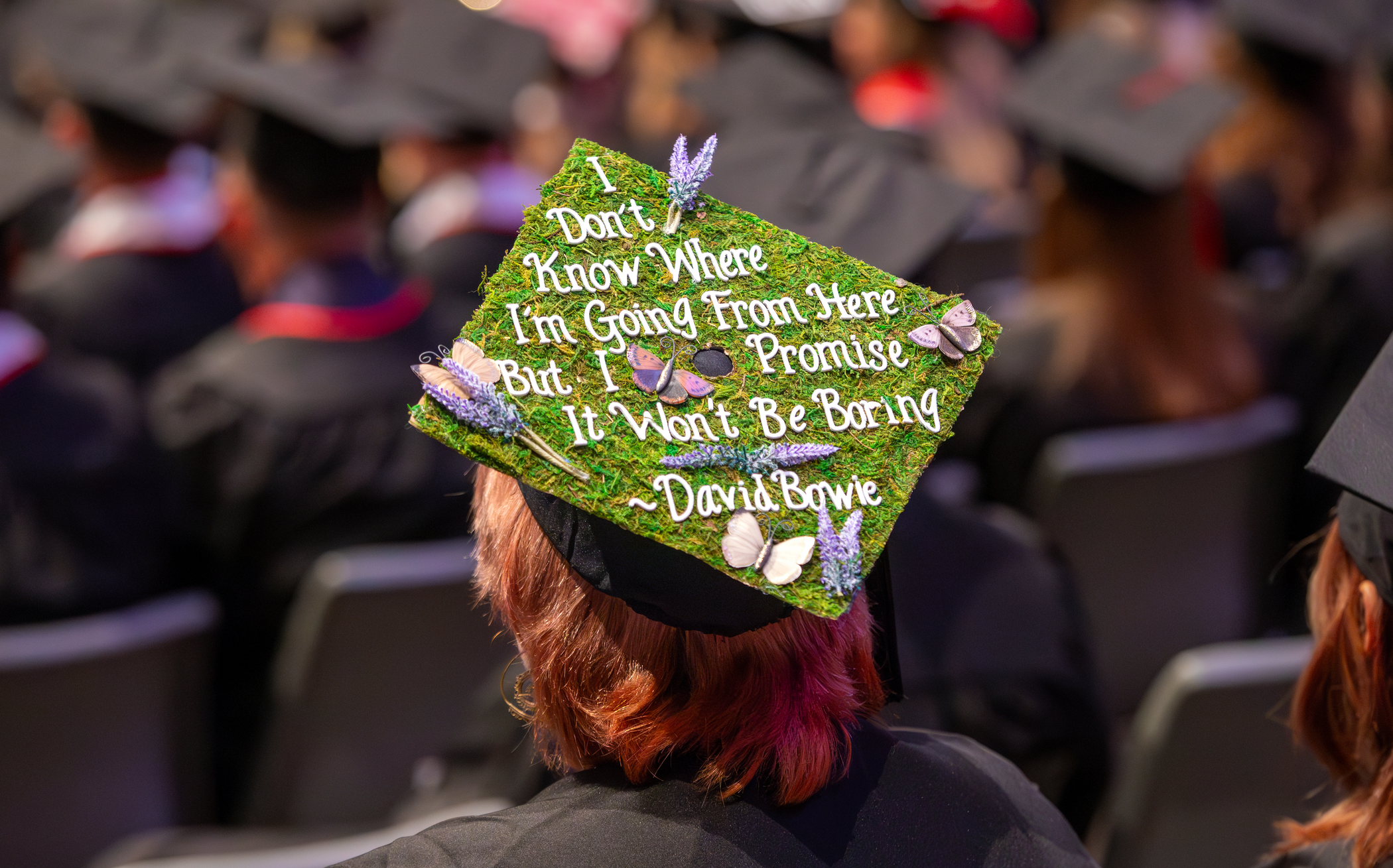 Graduation cap decorated with moss and butterflies. It reads, "I don't know where I'm going from here, but I promise it wont be boring." -David Bowie