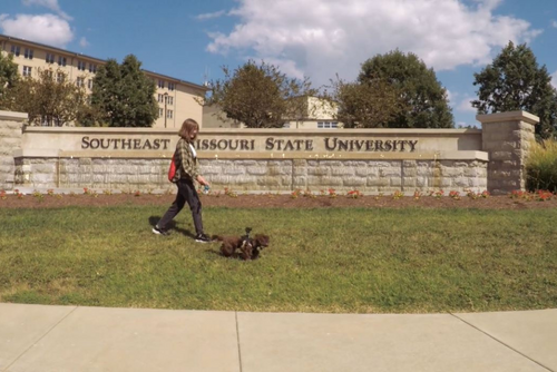 A student walks her dog on a sunny day near the Southeast entrance sign.