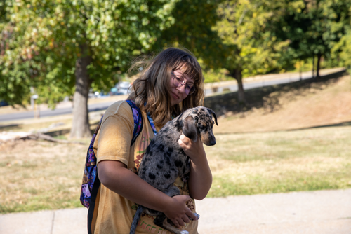 A student holds a small puppy on campus.