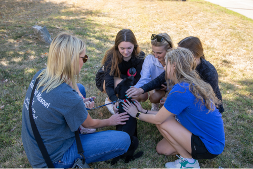 Students kneel to pet a puppy on campus.