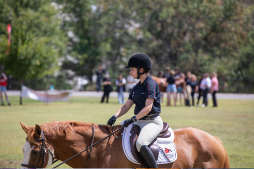 A member of SEMO's equestrian team shows off a horse on campus.