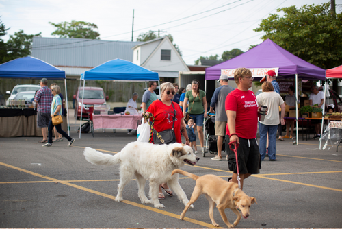 Owners walk both a brown dog and a white dog near tents set up in downtown Cape Girardeau.