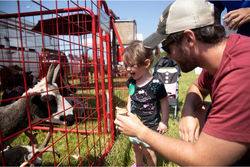 A goat is fed by a man and small child at the SEMO University Farm.