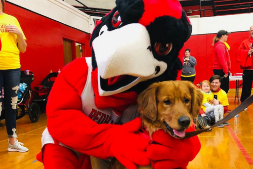 Rowdy Redhawk hugs a cute brown puppy.