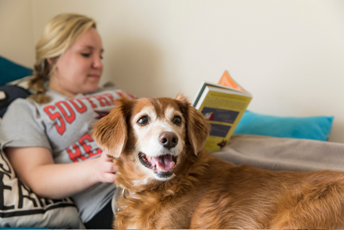 A SEMO student and her dog hang out in her dorm room while she reads a book.