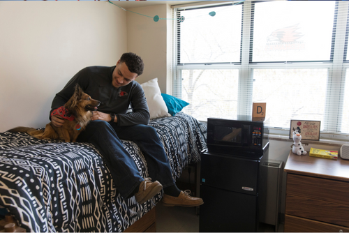 A male SEMO student sits on his bed with his small dog. The dog wears a SEMO bandana.