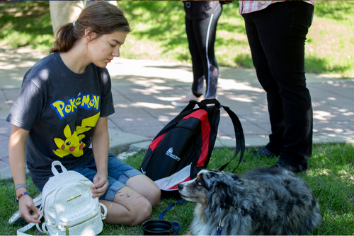 A student in a Pokemon shirt kneels in the grass next to an australian shepherd as they share a look.
