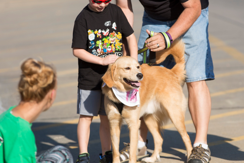 A golden dog stands next to its family wearing a white bandana on a sunny day.