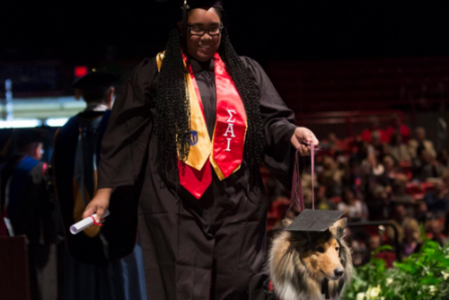 A dog in a graduation cap and its owner walk the stage at SEMO graduation.