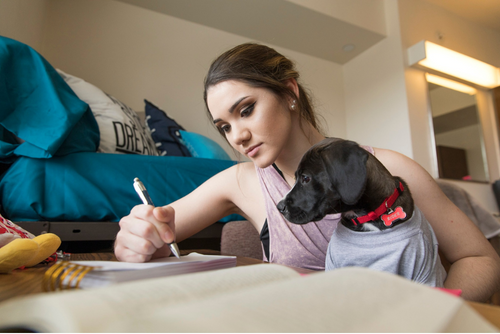 A student writes at her desk while holding a black puppy wearing a pink shirt.