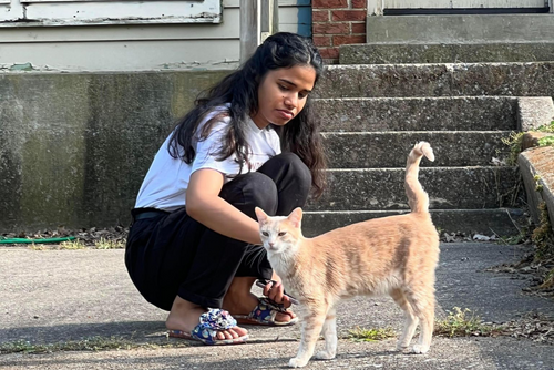 A student kneels to pet an orange cat outside.