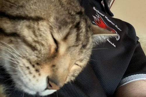 A cat closes its eyes next to its owner wearing a SEMO shirt.