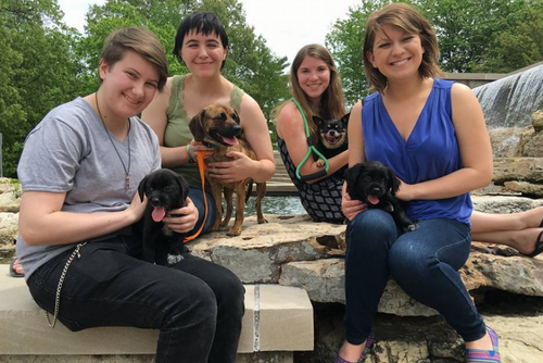 Students sit on the fountain rocks while holding small puppies.