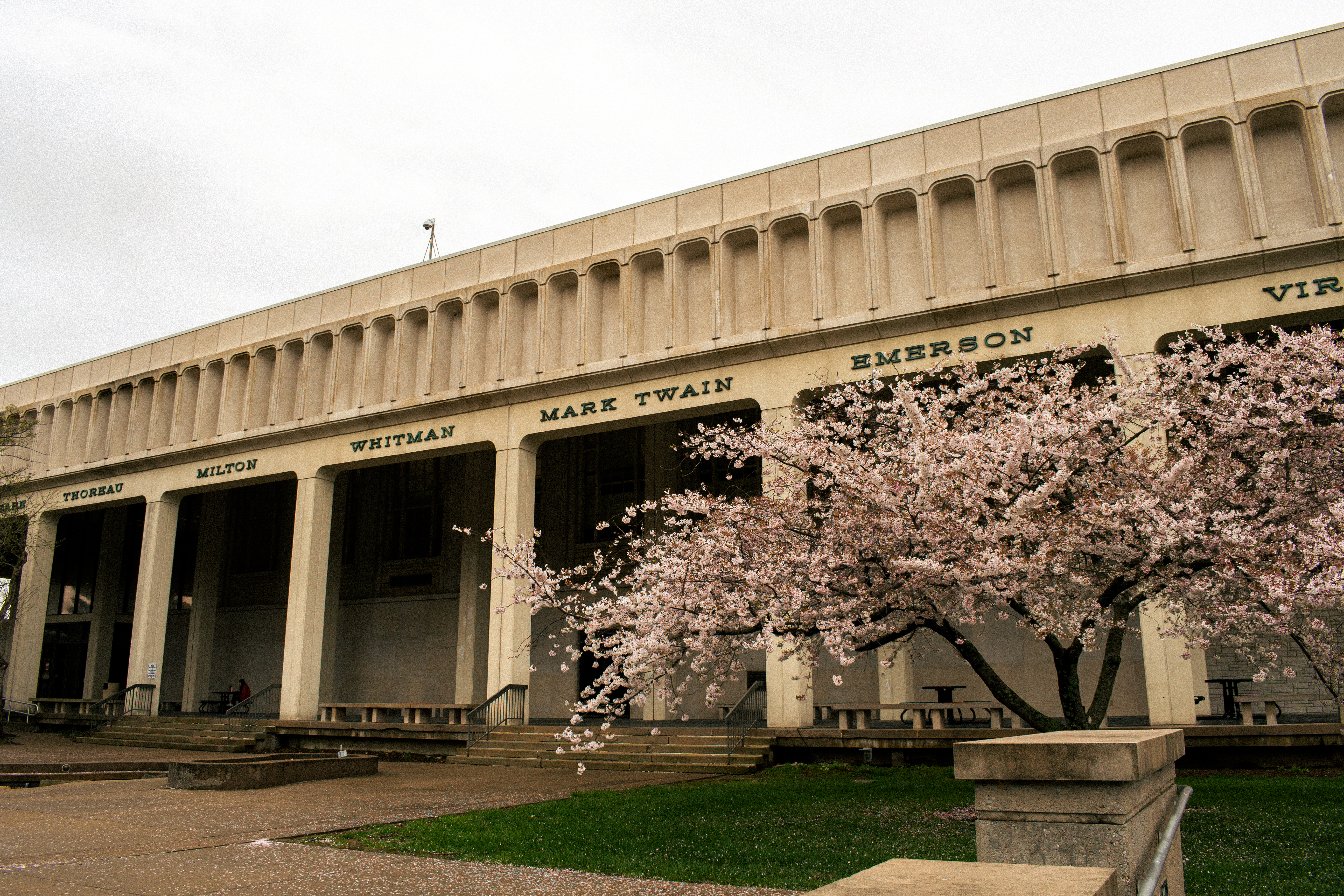 Kent Library in the spring with blooming trees at Southeast Missouri State University