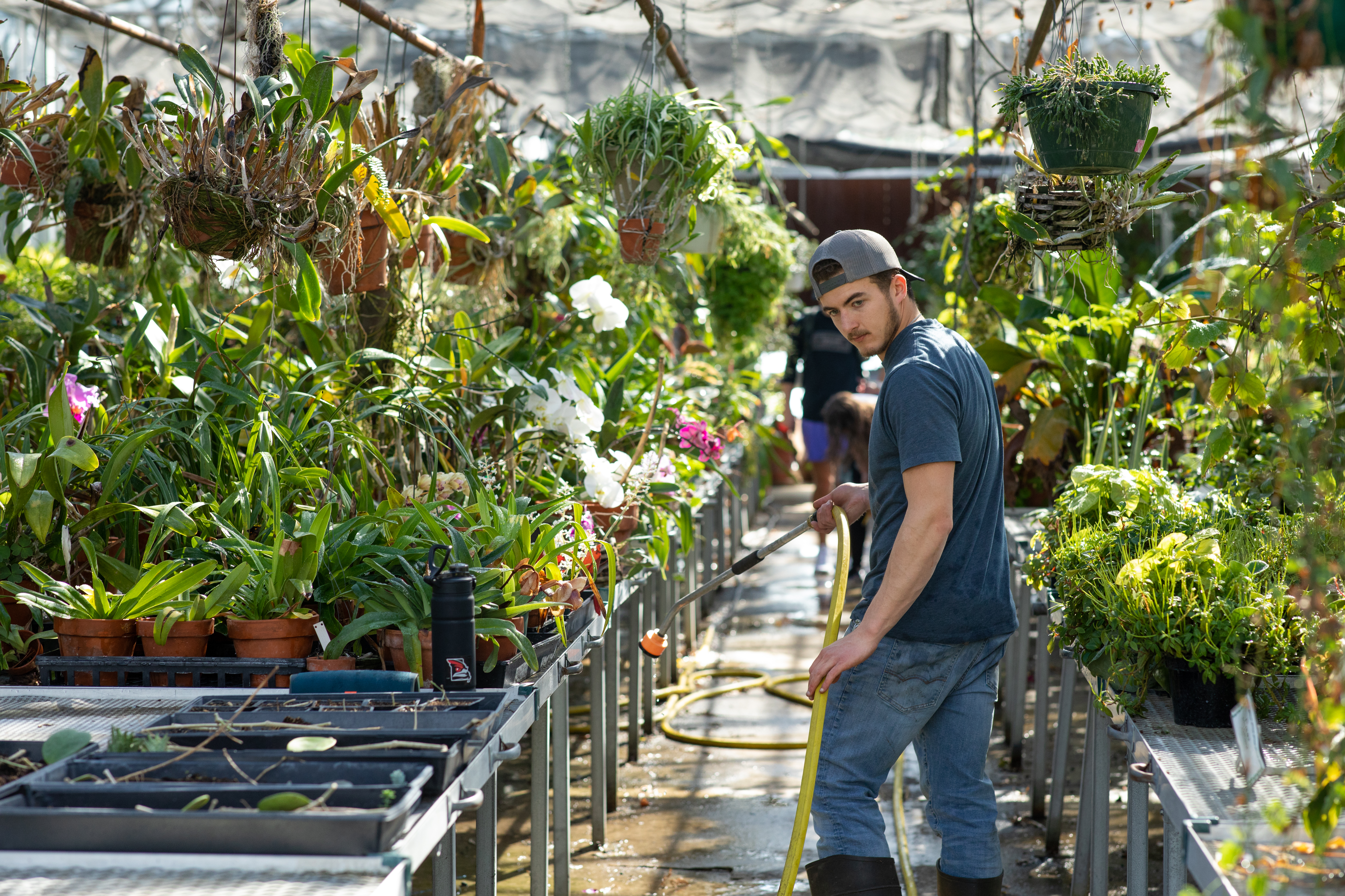 Student watering plants
