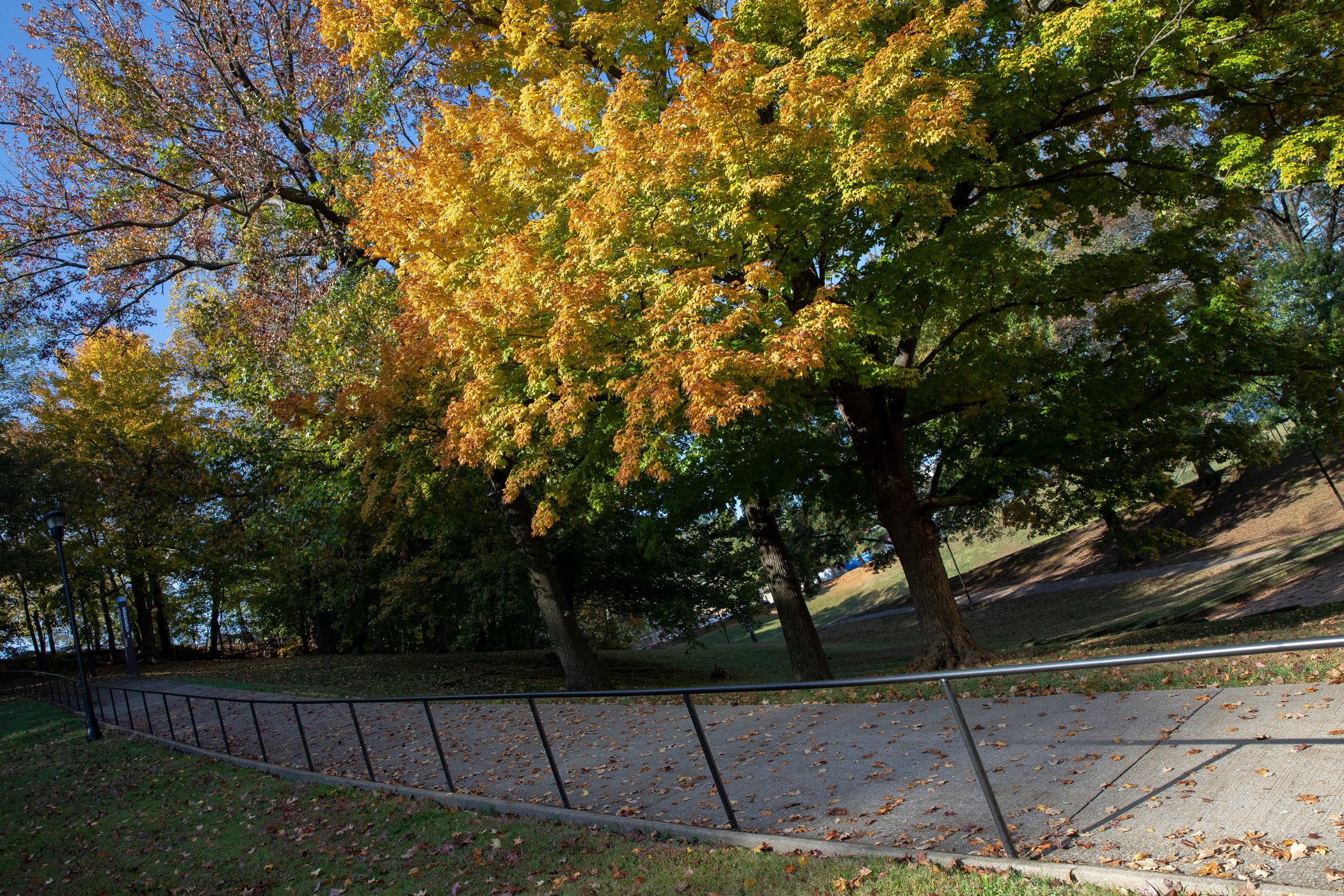 Cardiac Hill in the fall season