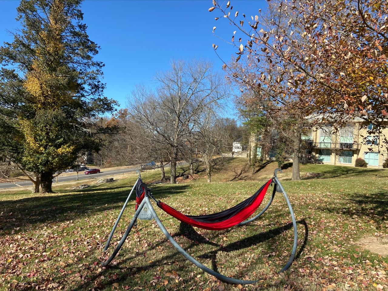 hammock---heather.jpg