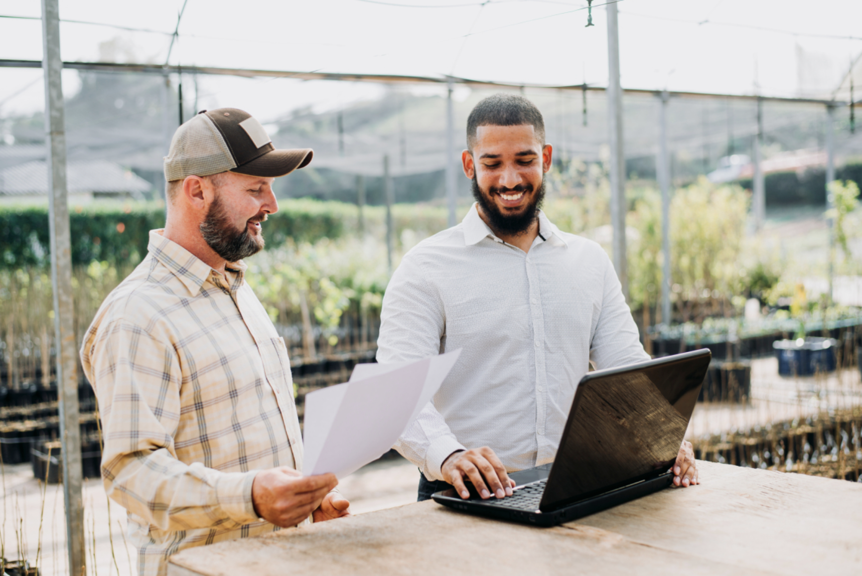 A farm manager works on his laptop in a large open-air greenhouse.