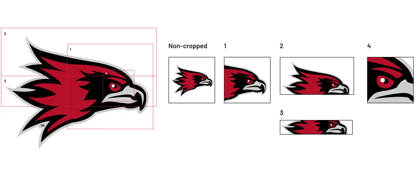 a visual example of how the redhawk head supergraphic can be cropped