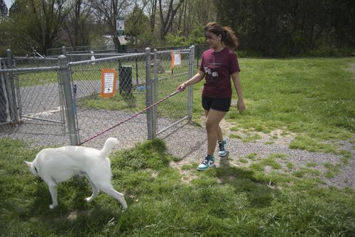 A Southeast student member of Southeast Serves walks a dog at the Humane Society of Southeast Missouri. 