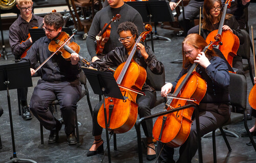 Three students play string instruments.