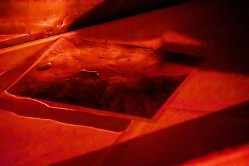 A developing photo inside a dark room on March 16, 2021, at Southeast Missouri State University in Cape Girardeau, Missouri. 