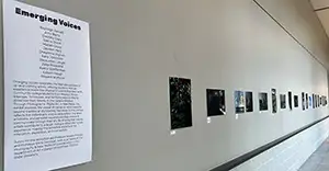 a view of a gallery wall featuring a poster explaining what the exhibit is and the participants