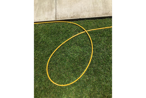 A yellow hose on bright green grass 