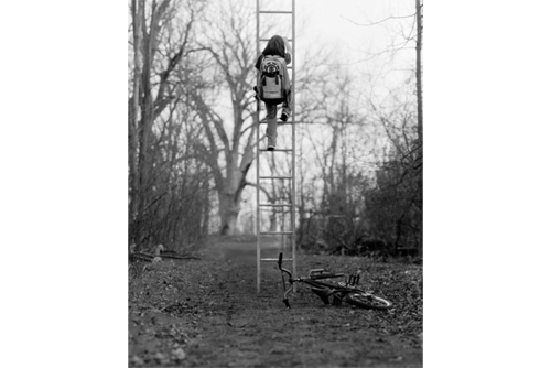 A child climbs a ladder in the middle of a wooded area with a bicycle on the ground in front of the ladder 